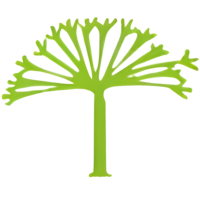 Flourish Securities